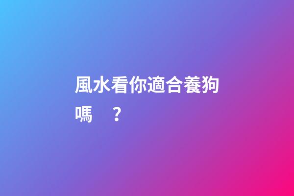 風水看你適合養狗嗎？